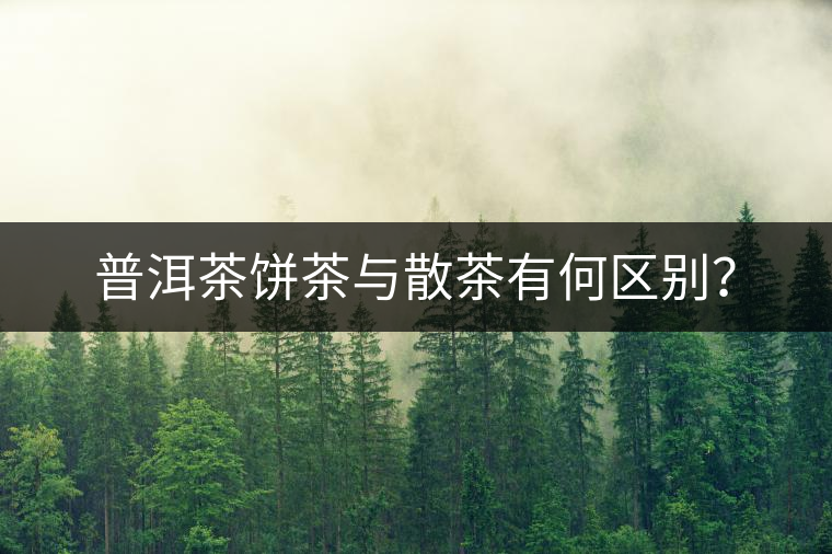 普洱茶餅茶與散茶有何區(qū)別？