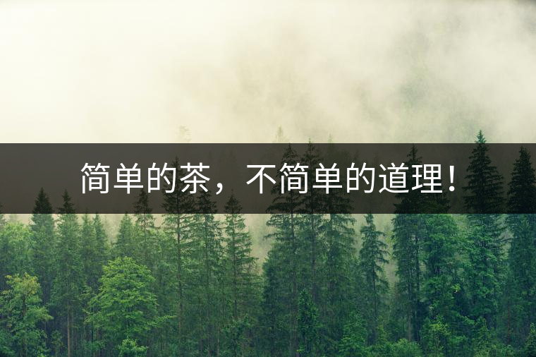 簡單的茶，不簡單的道理！