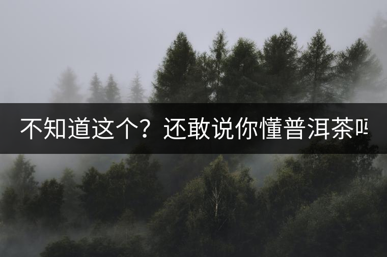 不知道這個？還敢說你懂普洱茶嗎？
