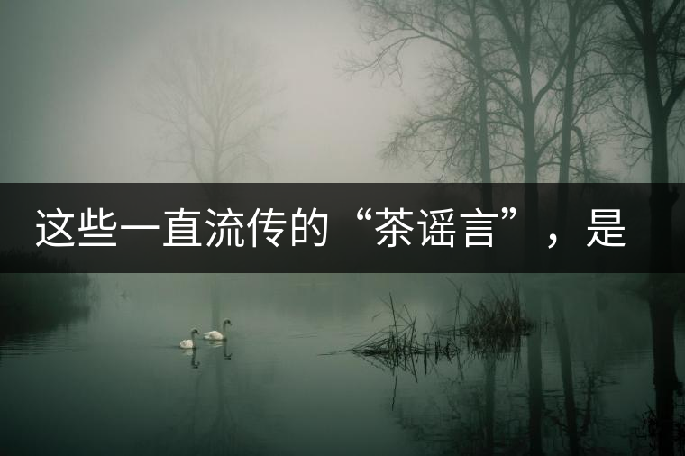 這些一直流傳的“茶謠言”，是時候知道真相了