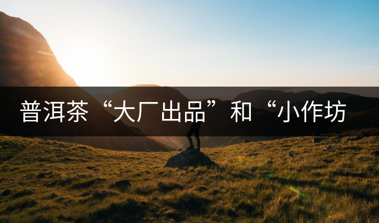普洱茶“大廠出品”和“小作坊”，哪一個(gè)更值得購(gòu)買？