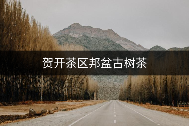 賀開茶區(qū)邦盆古樹茶