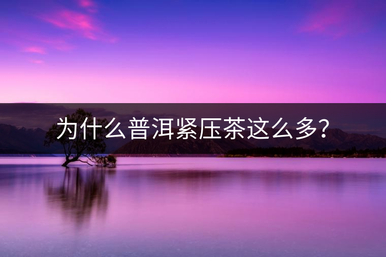 為什么普洱緊壓茶這么多？