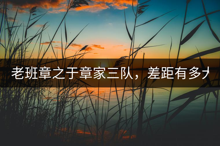 老班章之于章家三隊(duì)，差距有多大？