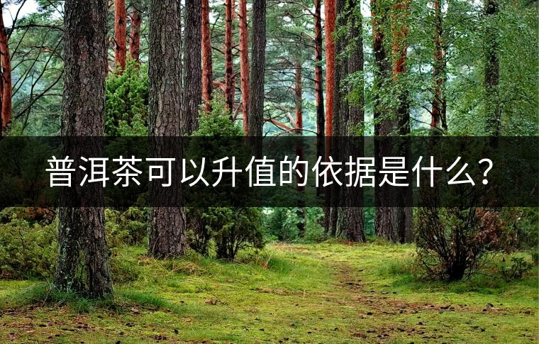 普洱茶可以升值的依據(jù)是什么？