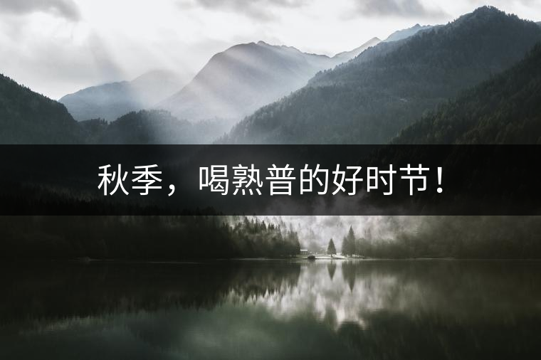 秋季，喝熟普的好時(shí)節(jié)！