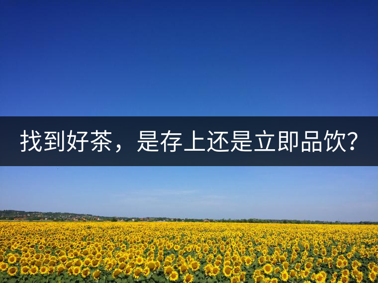 找到好茶，是存上還是立即品飲？