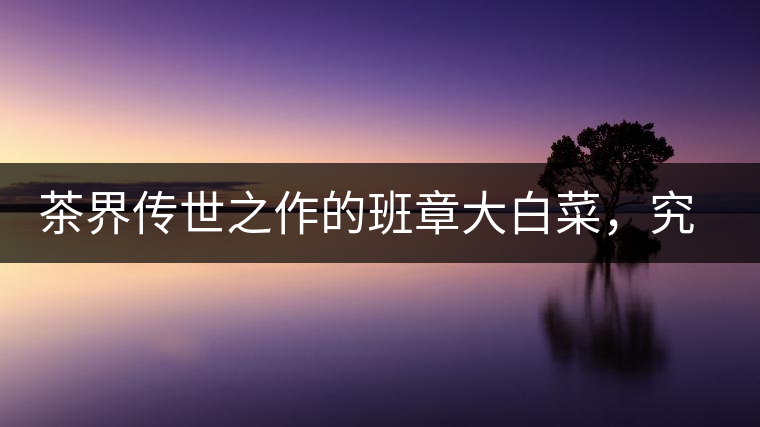 茶界傳世之作的班章大白菜，究竟有什么大來頭？