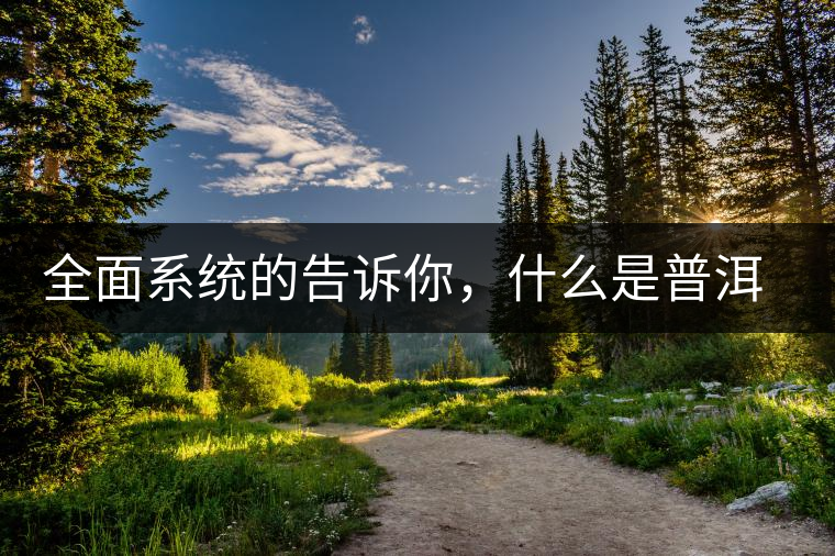 全面系統(tǒng)的告訴你，什么是普洱茶