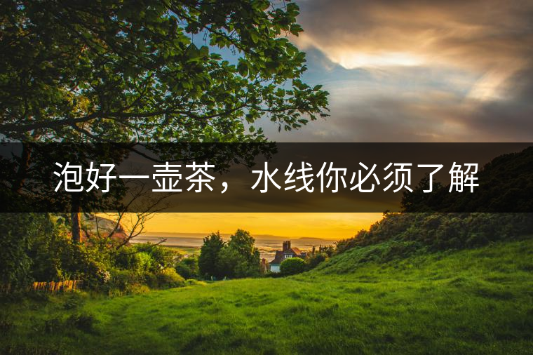 泡好一壺茶，水線你必須了解