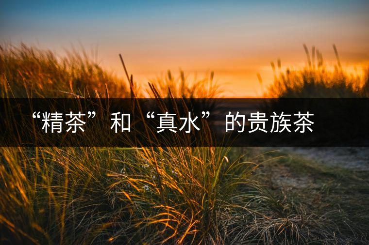 “精茶”和“真水”的貴族茶道