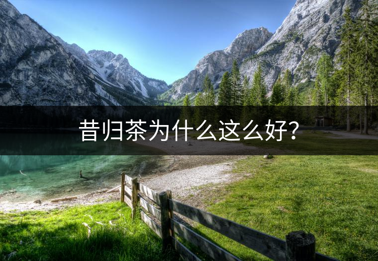 昔歸茶為什么這么好？