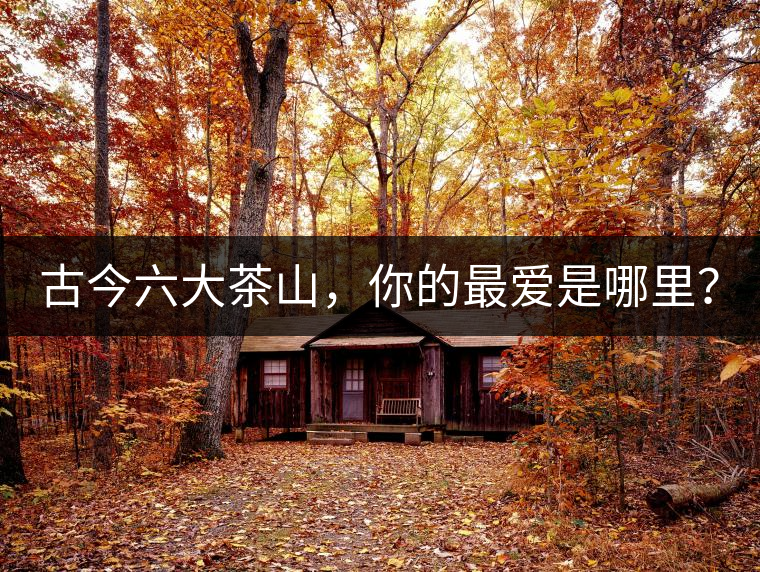 古今六大茶山，你的最愛是哪里？