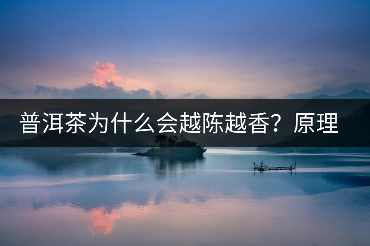 普洱茶為什么會(huì)越陳越香？原理是什么？