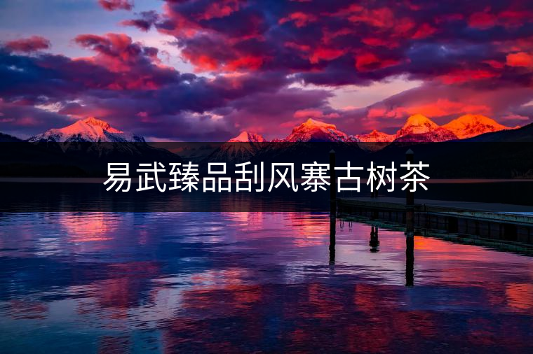 易武臻品刮風寨古樹茶 易武臻品刮風寨古樹茶