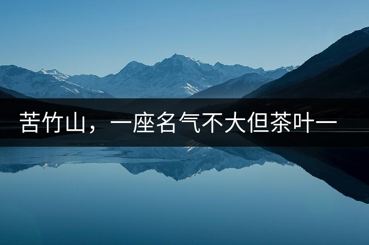 苦竹山，一座名氣不大但茶葉一流的古茶山