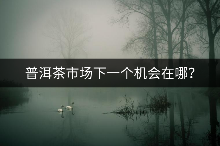 普洱茶市場(chǎng)下一個(gè)機(jī)會(huì)在哪？