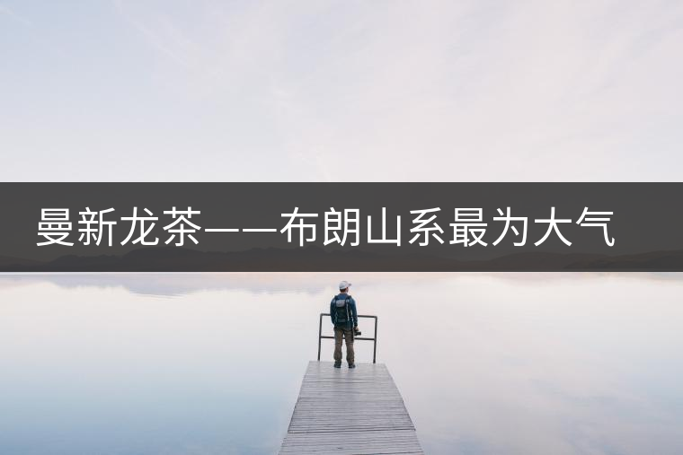 曼新龍茶——布朗山系最為大氣的茶品