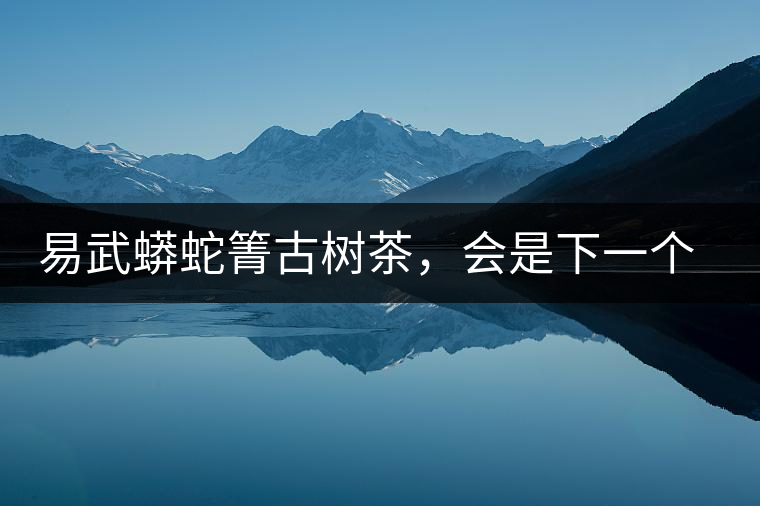 易武蟒蛇箐古樹茶，會是下一個銅箐河嗎？