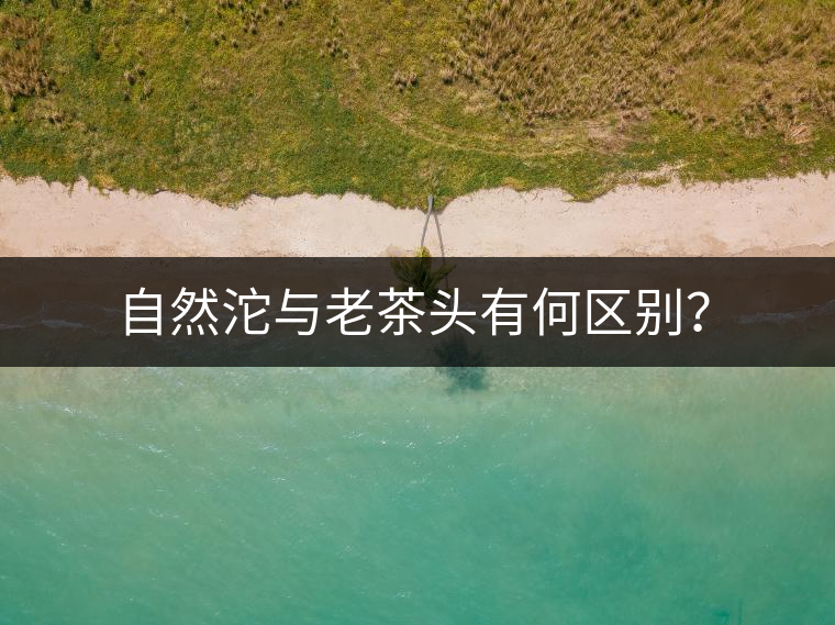 自然沱與老茶頭有何區(qū)別？