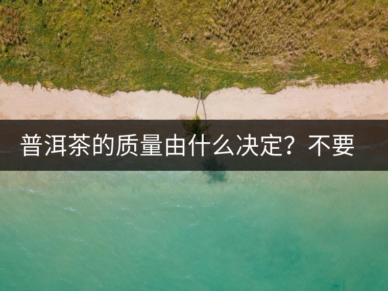 普洱茶的質量由什么決定？不要輕信等級