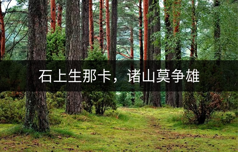 石上生那卡，諸山莫爭雄