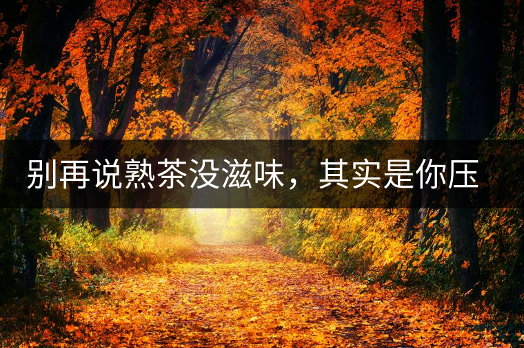 別再說熟茶沒滋味，其實是你壓根沒喝懂
