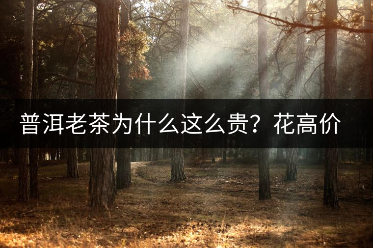 普洱老茶為什么這么貴？花高價(jià)買值嗎？