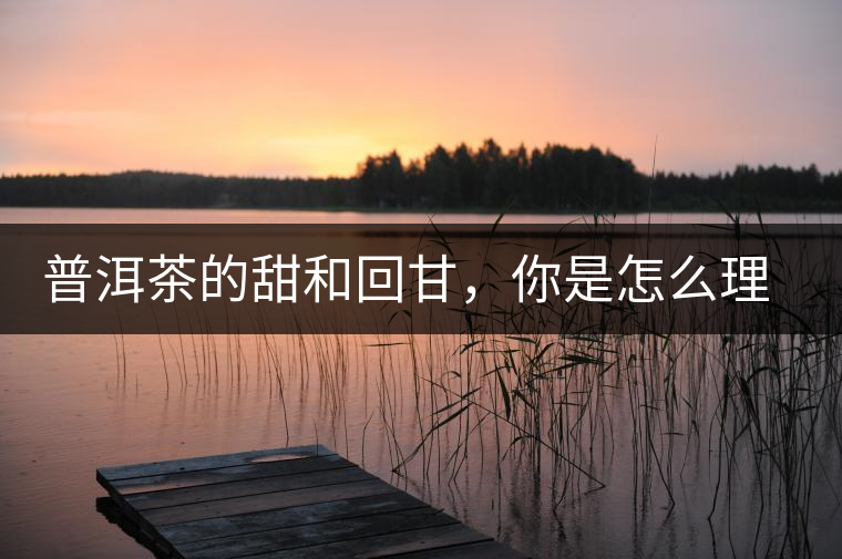 普洱茶的甜和回甘，你是怎么理解的？