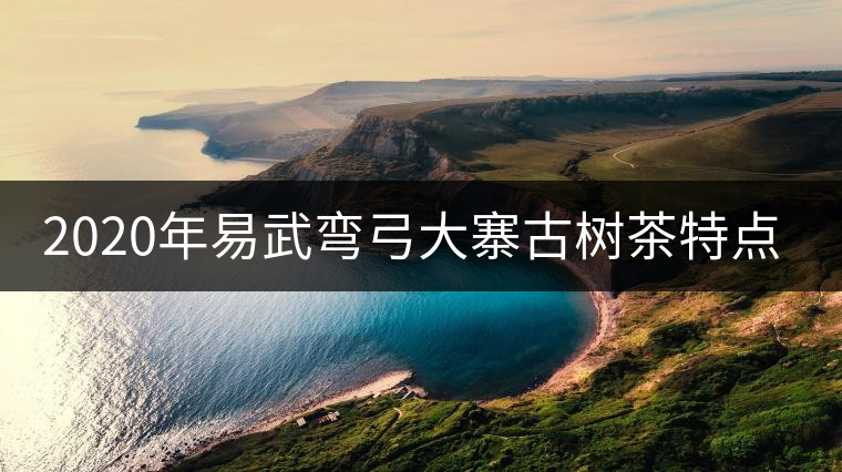 2020年易武彎弓大寨古樹茶特點(diǎn)和價(jià)格