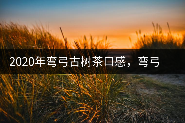 2020年彎弓古樹茶口感，彎弓普洱茶價(jià)格特點(diǎn)