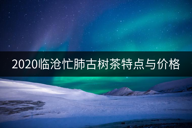 2020臨滄忙肺古樹(shù)茶特點(diǎn)與價(jià)格