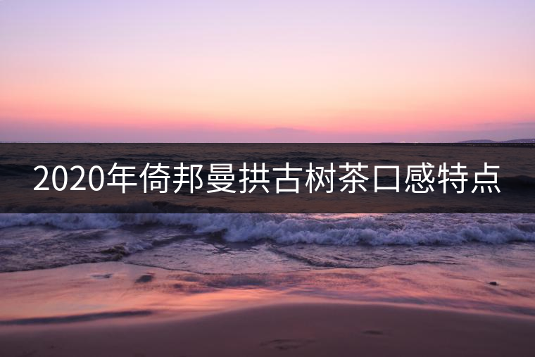 2020年倚邦曼拱古樹茶口感特點(diǎn)