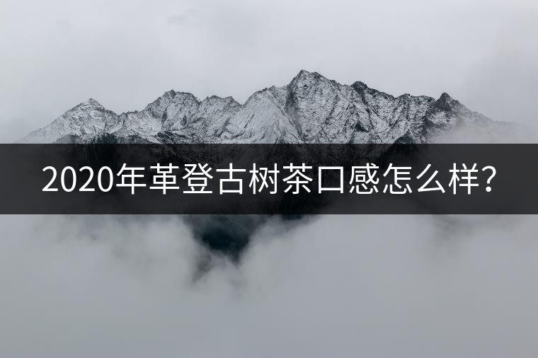 2020年革登古樹(shù)茶口感怎么樣？