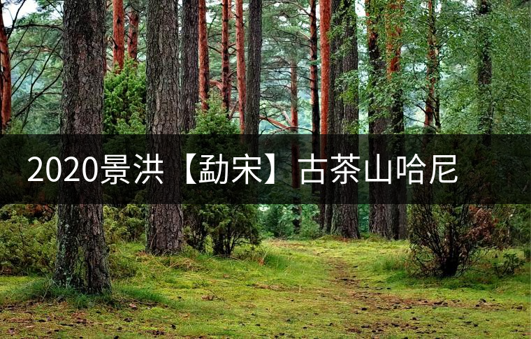 2020景洪【勐宋】古茶山哈尼年“嘎湯帕”圓滿結(jié)束，我們明年見(jiàn)