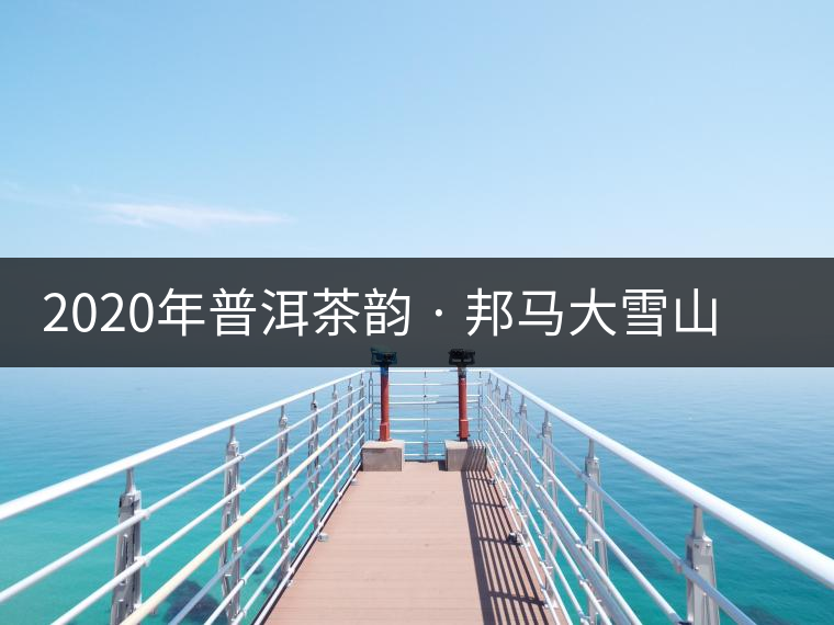 2020年普洱茶韻 · 邦馬大雪山臨滄4大雪山