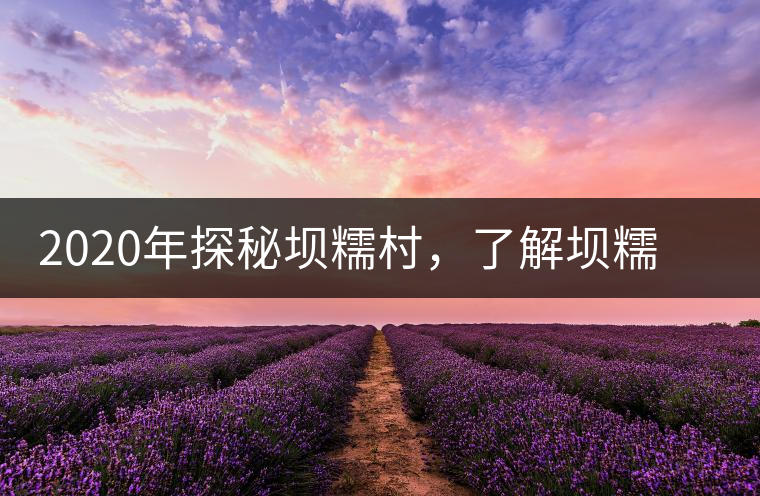 2020年探秘壩糯村，了解壩糯藤條茶的真相