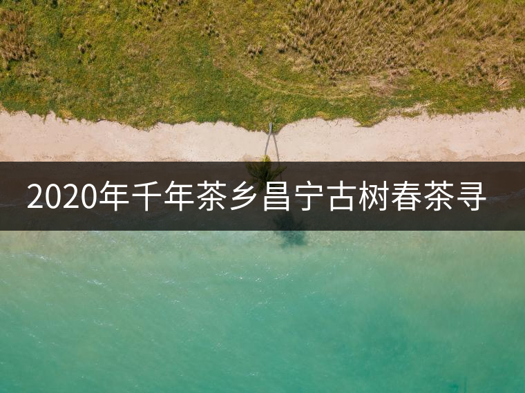 2020年千年茶鄉(xiāng)昌寧古樹(shù)春茶尋茶記 2020年千年茶鄉(xiāng)昌寧古樹(shù)春茶尋茶記