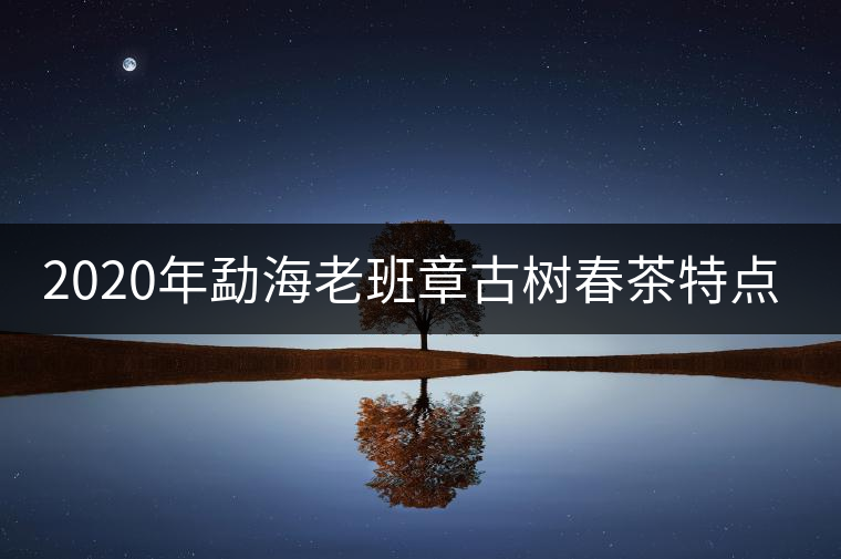 2020年勐海老班章古樹春茶特點(diǎn)介紹