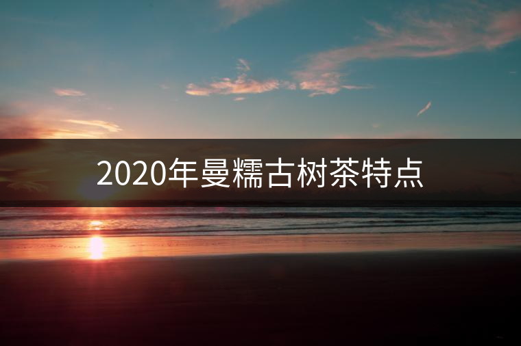2020年曼糯古樹茶特點(diǎn) 2020年曼糯古樹茶特點(diǎn)