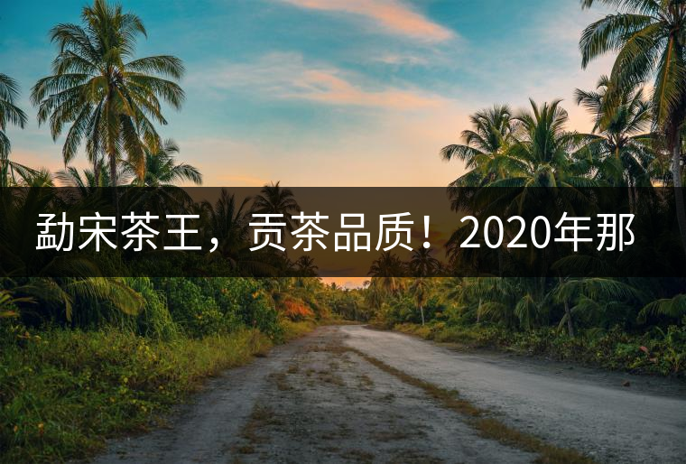 勐宋茶王，貢茶品質(zhì)！2020年那卡古樹青餅悠然而至！