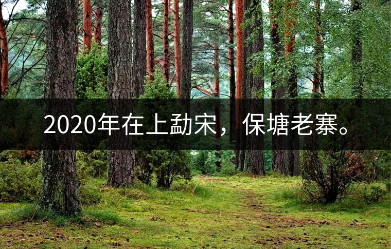 2020年在上勐宋，保塘老寨。