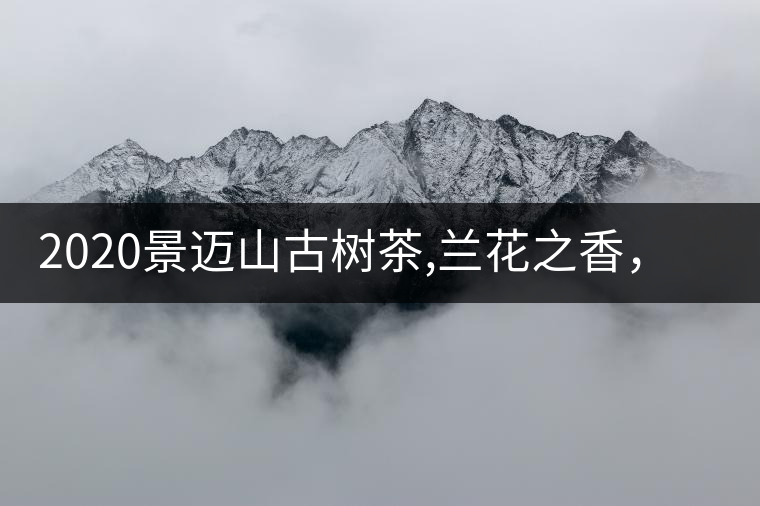 2020景邁山古樹茶,蘭花之香，自然之味