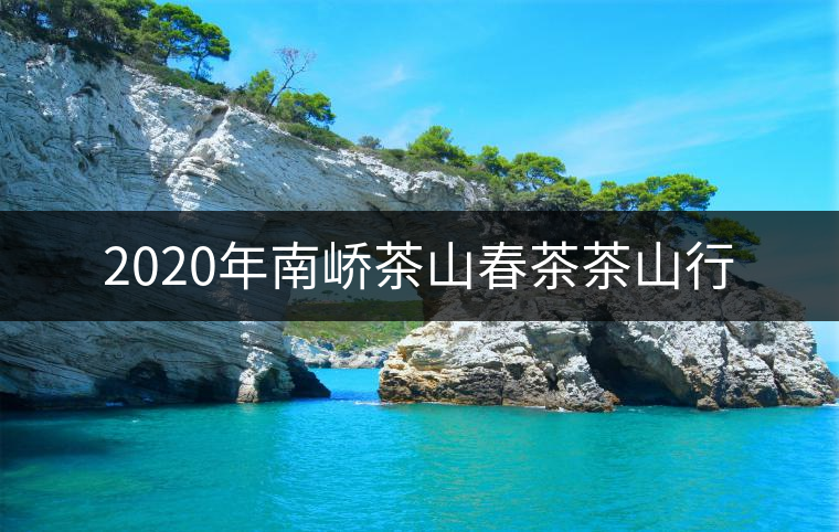 2020年南嶠茶山春茶茶山行 2020年南嶠茶山春茶茶山行