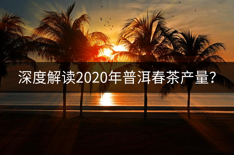 深度解讀2020年普洱春茶產(chǎn)量？