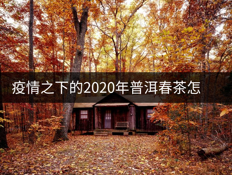 疫情之下的2020年普洱春茶怎么辦？春天會遲到，但一定會來