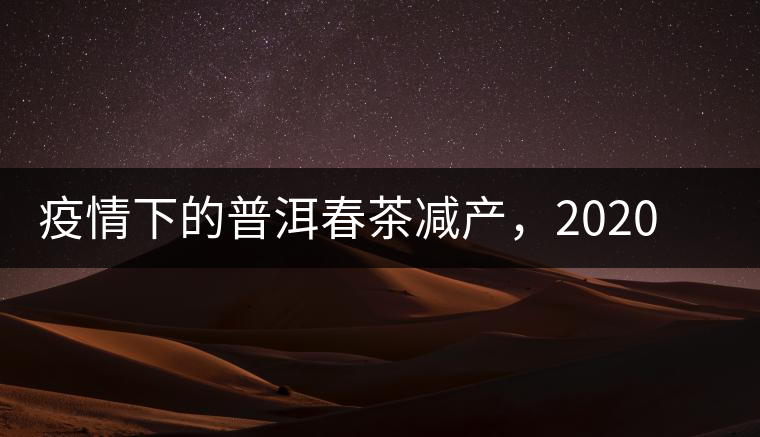 疫情下的普洱春茶減產(chǎn)，2020年價格“兩極分化”或成常態(tài)？