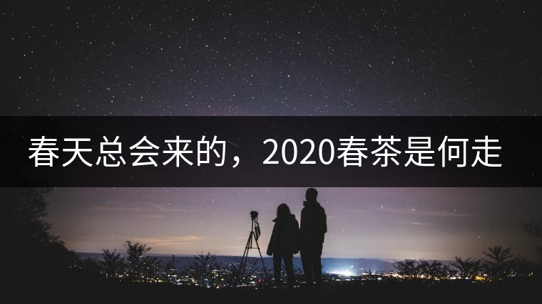 春天總會(huì)來(lái)的，2020春茶是何走勢(shì)？