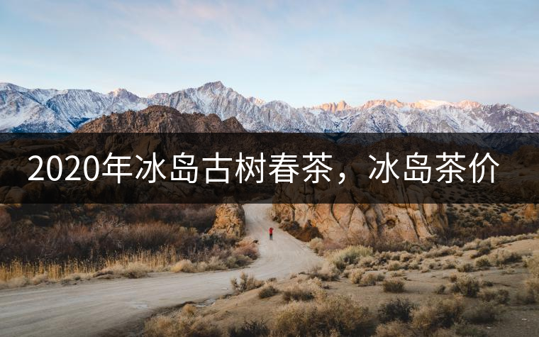 2020年冰島古樹春茶，冰島茶價(jià)格貴在哪里？