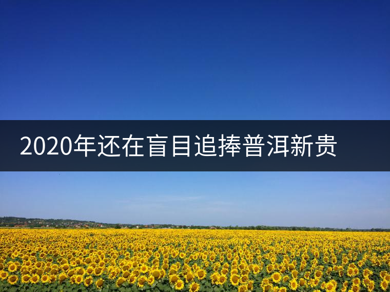 2020年還在盲目追捧普洱新貴“貓耳朵”？我們深入產(chǎn)區(qū)為你揭示最真實的“貓耳朵”！